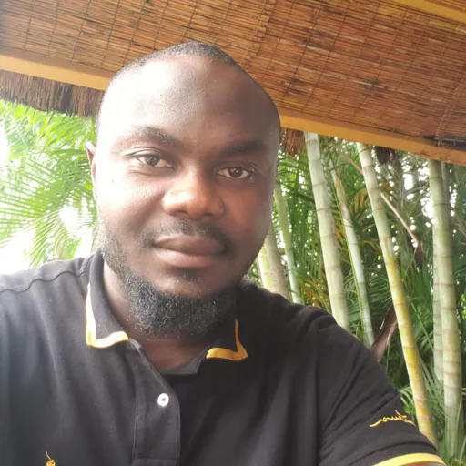 Chinedu A. profile photo
