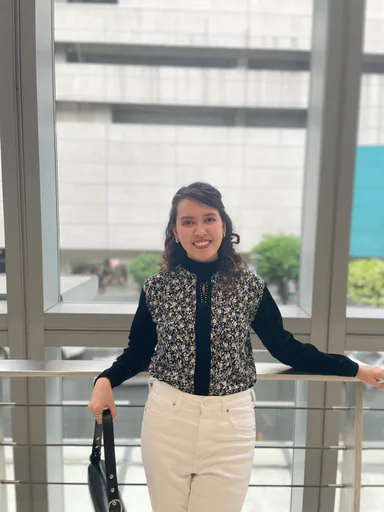 Chloe M. — Senior Corporate Risk Manager from Philippines