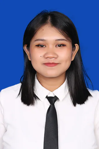 Renova K. — Junior Data Administrator from Indonesia