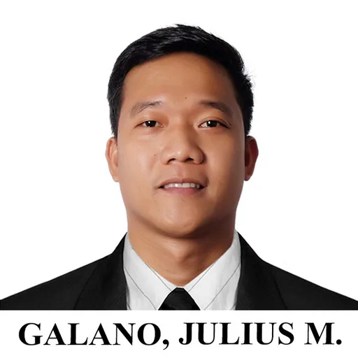 Julius G. — Mid-Level MEP Engineer from Philippines
