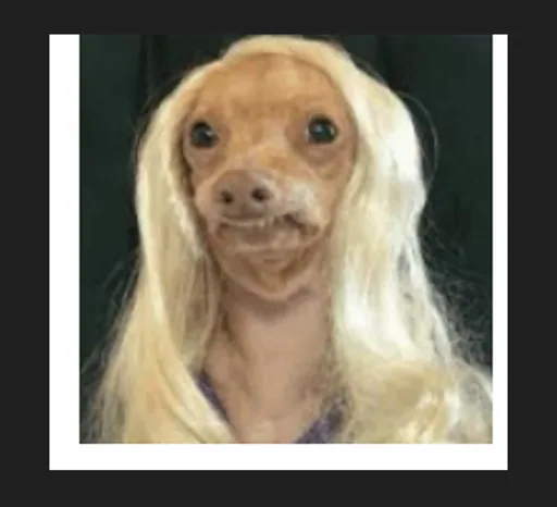 Palesa F. profile photo