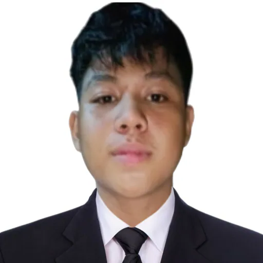 Frost M. — Junior Electrical Engineer from Philippines
