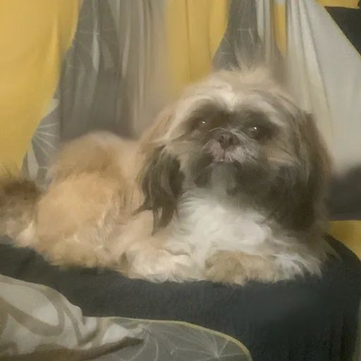 Marsha M. profile photo