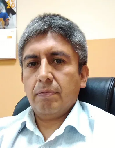 Rafael B. — Senior IT Executive Manager from Peru