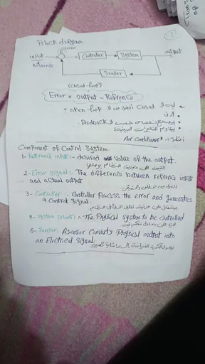 Photo of Haneen H.