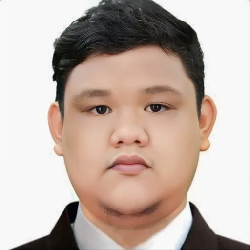 Armin L. profile photo