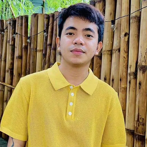 Mark J. — Mid-Level Healthcare Virtual Assistant from Philippines