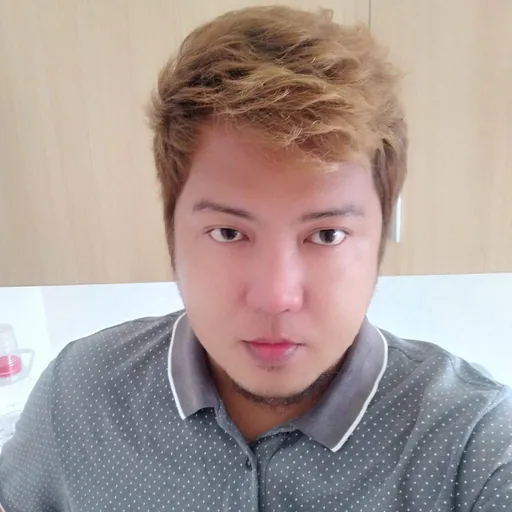Prince L. — Senior Civil Engineer from Philippines