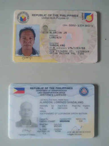 Lorenzo A. — Senior Project Engineer - Mechanical Engineering from Philippines