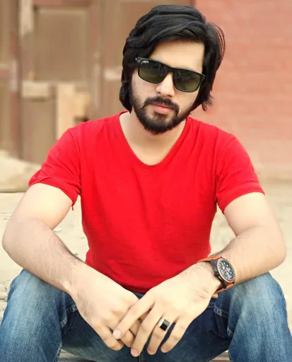 Danial I. — Senior Full Stack Developer from Pakistan