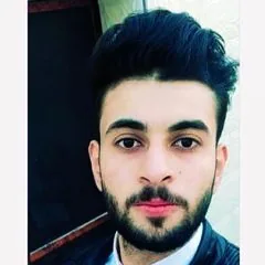 Ameer D. — Junior SEO Specialist from Palestinian Territories