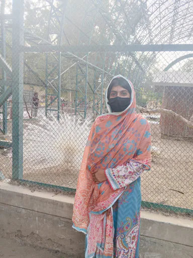 Mutahira M. profile photo