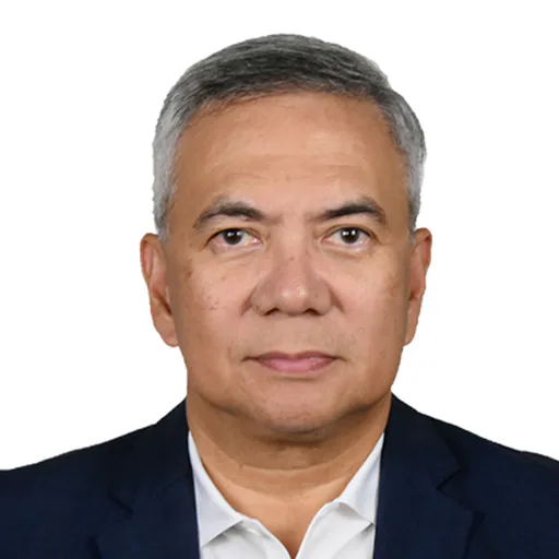 noel A. — Senior ICT Transformation Director from Philippines