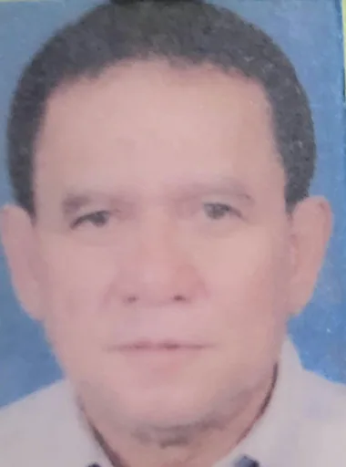 Max V. — Senior Mechanical Project Manager from Philippines