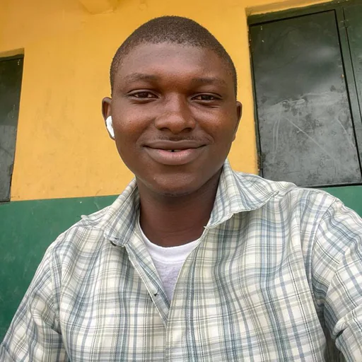 OLUWATIMILEHIN O. profile photo