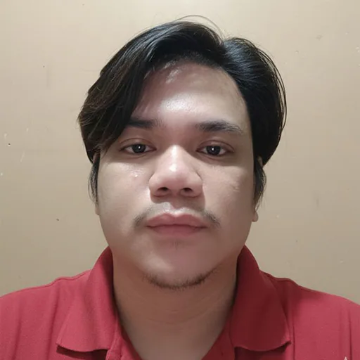 Allan E. — Junior Vehicle Inspection Technician from Philippines