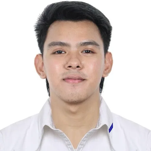 Garwin D. — Mid-Level Customer Support Specialist from Philippines
