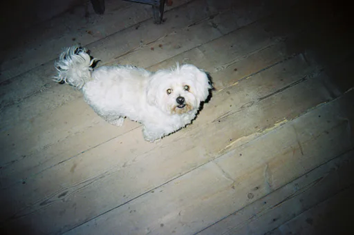 Elene O. profile photo