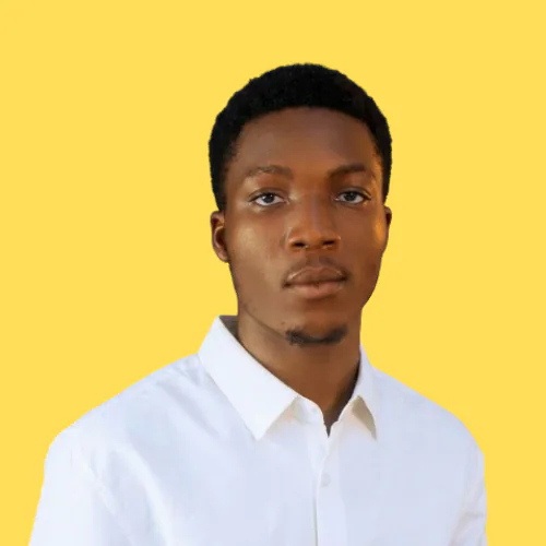 Tiamiyu N. — Senior Shopify Developer from Nigeria