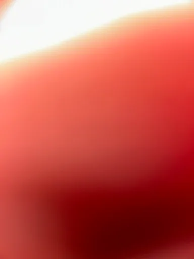 Sara S. profile photo