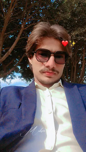 Mohsin P. profile photo