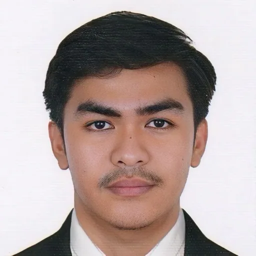 Jayson N. — Mid-Level Construction Project Manager from Philippines