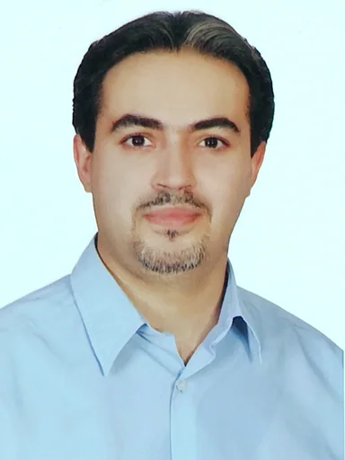 Mahmoud H. — Senior Water Resources Engineer from Netherlands