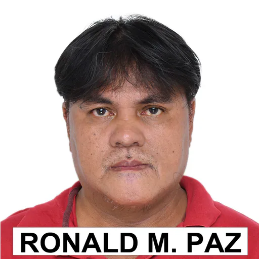 Ronald P. — Mid-Level Software Developer from Philippines