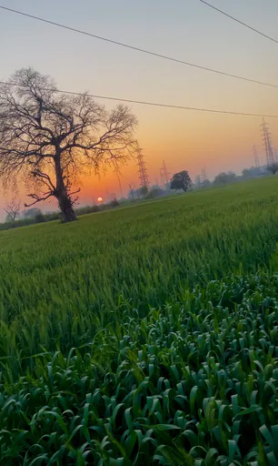Deepanshu profile photo
