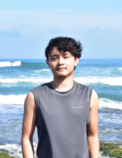 Nixon L. — Mid-Level Business Application Developer from Philippines