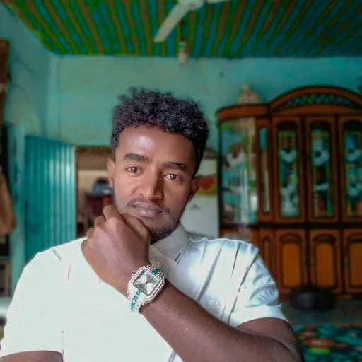 Alemayehu D. profile photo