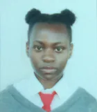 Ntokozo N. profile photo