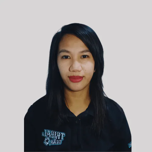 Glovic P. — Mid-Level Virtual Assistant from Philippines