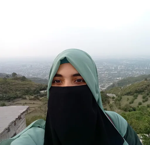 Ayesha T. profile photo