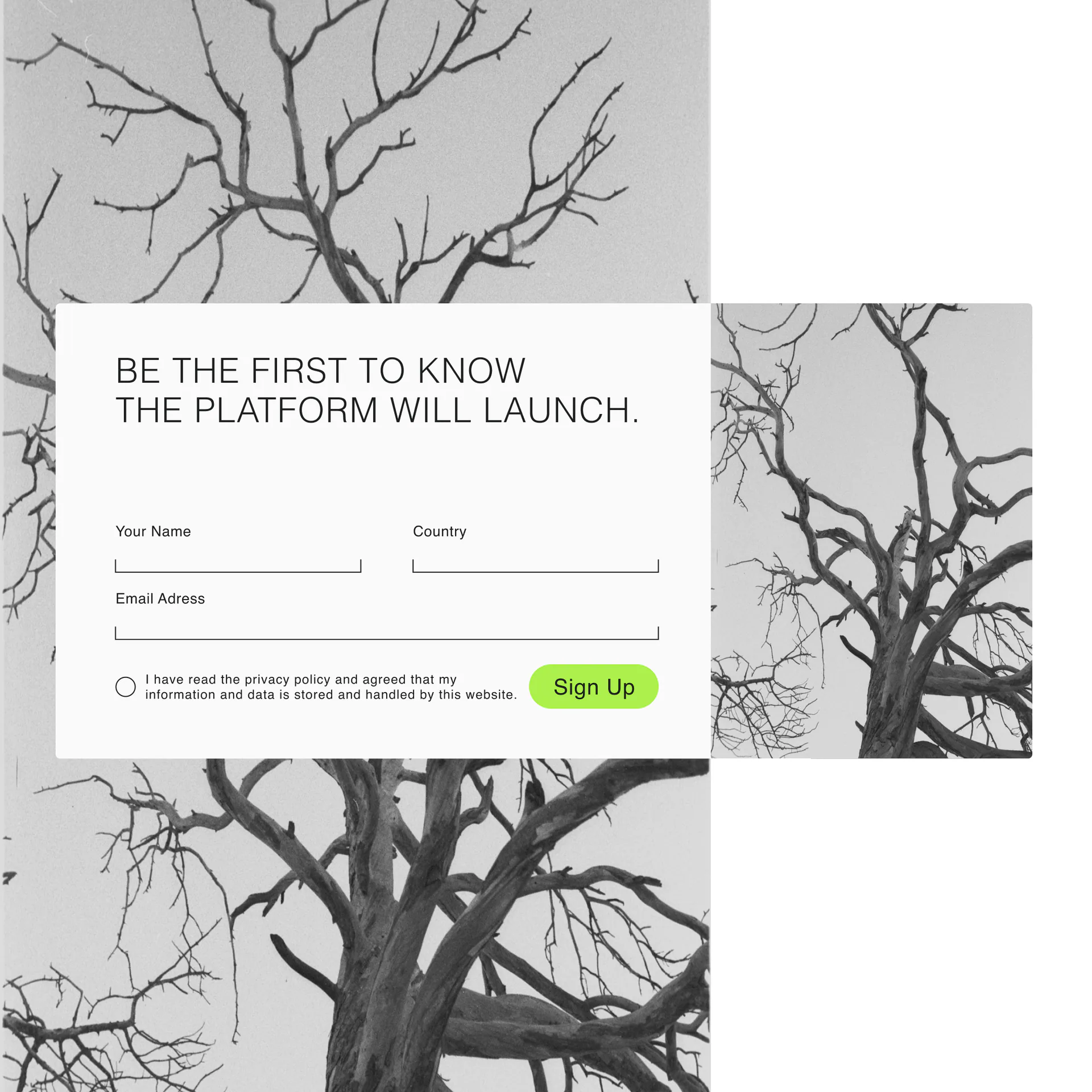 Portfolio item of Valeriya V.