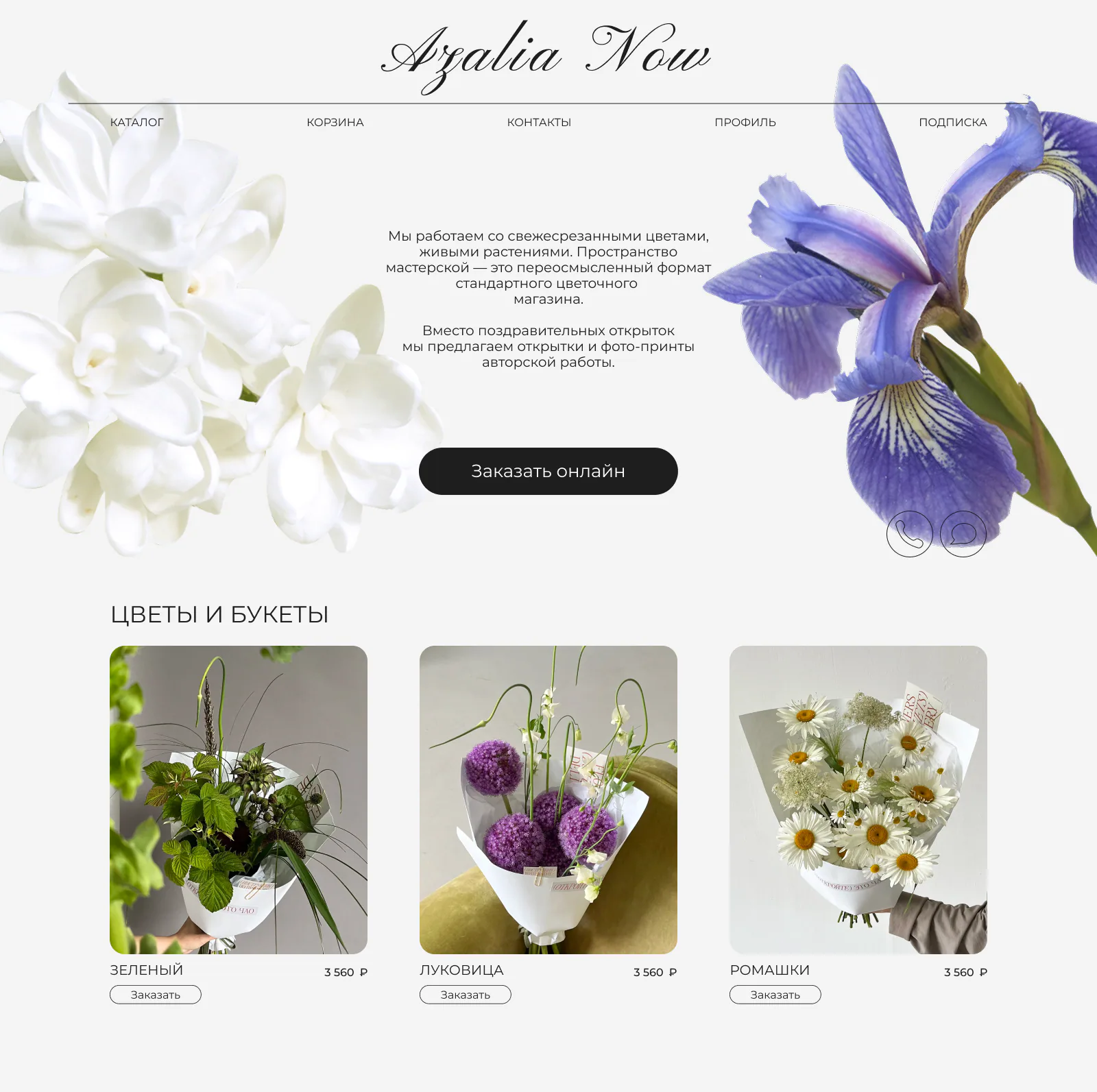 Portfolio item of Valeriya V.
